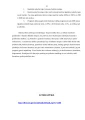 Ilgalaikis nedarbo lygis (nuo darbo jėgos) 13 puslapis