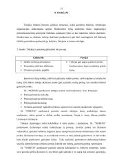 Įmonės analizė: parduotuvė  XL "Norfa" 12 puslapis