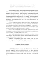 Įmonės analizė: parduotuvė  XL "Norfa" 4 puslapis