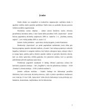 Įmonės analizė: popieriaus gaminiai UAB "Sąsiuviniai" 2 puslapis