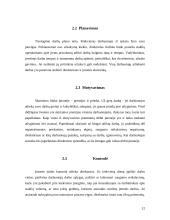 Įmonės analizė: popieriaus gaminiai UAB "Sąsiuviniai" 12 puslapis