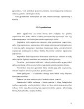 Įmonės analizė: popieriaus gaminiai UAB "Sąsiuviniai" 6 puslapis