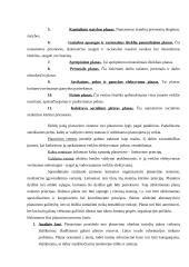 Įmonės aprašymas: maisto priekių parduotuvė UAB "Pašvaistė" 13 puslapis
