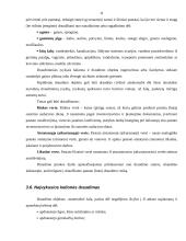 Įmonės asortimento analizė: draudimo bendrovė "Baltikums draudimas" 11 puslapis