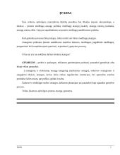 Įmonės atsargos ir sandėlių ūkis 2 puslapis