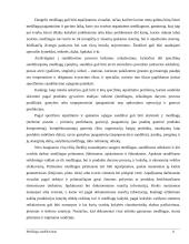 Įmonės atsargos ir sandėlių ūkis 11 puslapis