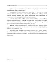 Įmonės atsargos ir sandėlių ūkis 5 puslapis