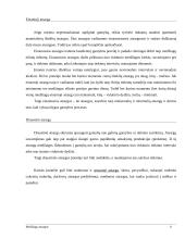 Įmonės atsargos ir sandėlių ūkis 8 puslapis