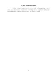 Įmonės charakteristika ir veiklos dokumentai: prekyba kompiuteriais IĮ "Matrix" 20 puslapis