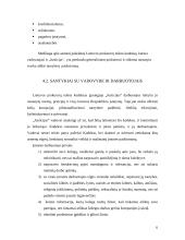 Įmonės etikos kodeksas: teisininkų kontora "Justicija" 6 puslapis