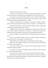 Įmonės finansų balansas: statybinių medžiagų tiekimas UAB "Lakaja" 2 puslapis