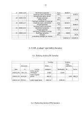 Įmonės finansų balansas: statybinių medžiagų tiekimas UAB "Lakaja" 13 puslapis