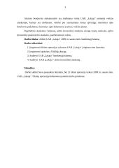 Įmonės finansų balansas: statybinių medžiagų tiekimas UAB "Lakaja" 3 puslapis