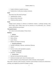 Įmonės marketingas: masažo salonas "Masažo Rojus" 2 puslapis