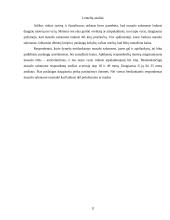 Įmonės marketingas: masažo salonas "Masažo Rojus" 11 puslapis