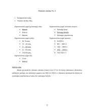 Įmonės marketingas: masažo salonas "Masažo Rojus" 12 puslapis