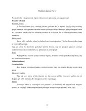 Įmonės marketingas: masažo salonas "Masažo Rojus" 13 puslapis