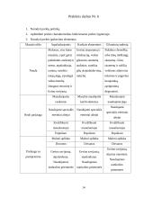 Įmonės marketingas: masažo salonas "Masažo Rojus" 14 puslapis