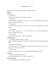 Įmonės marketingas: masažo salonas "Masažo Rojus" 4 puslapis