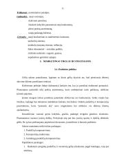 Įmonės marketingo planas: gėlių salonas IĮ "Fantazija" 11 puslapis