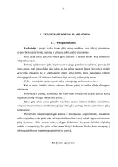 Įmonės marketingo planas: gėlių salonas IĮ "Fantazija" 3 puslapis