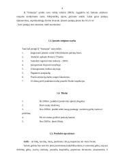 Įmonės marketingo planas: gėlių salonas IĮ "Fantazija" 4 puslapis