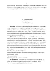 Įmonės marketingo planas: gėlių salonas IĮ "Fantazija" 5 puslapis