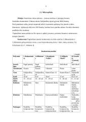 Įmonės marketingo planas: gėlių salonas IĮ "Fantazija" 6 puslapis