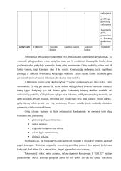 Įmonės marketingo planas: gėlių salonas IĮ "Fantazija" 7 puslapis