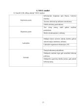 Įmonės marketingo sprendimai: turizmo agentūra UAB "Mūsų odisėja" 13 puslapis