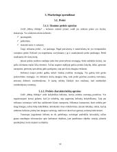 Įmonės marketingo sprendimai: turizmo agentūra UAB "Mūsų odisėja" 14 puslapis