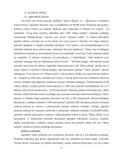 Įmonės marketingo sprendimai: turizmo agentūra UAB "Mūsų odisėja" 17 puslapis