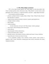 Įmonės marketingo sprendimai: turizmo agentūra UAB "Mūsų odisėja" 3 puslapis