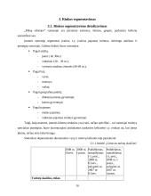 Įmonės marketingo sprendimai: turizmo agentūra UAB "Mūsų odisėja" 10 puslapis