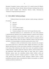 Įmonės pardavimų politika: UAB "Stikliai" 9 puslapis