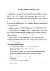 Įmonės paslaugų analizė: UAB "Rodiklis" 2 puslapis