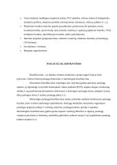 Įmonės paslaugų analizė: UAB "Rodiklis" 3 puslapis