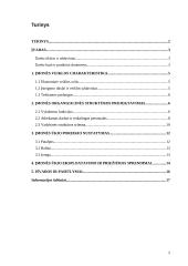 Įmonės projektavimas: logistikos paslaugos 2 puslapis