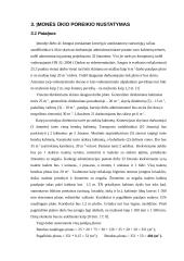 Įmonės projektavimas: logistikos paslaugos 12 puslapis