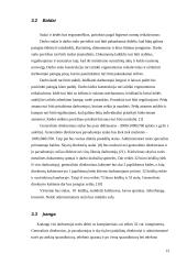 Įmonės projektavimas: logistikos paslaugos 13 puslapis