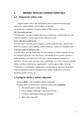 Įmonės projektavimas: logistikos paslaugos 5 puslapis