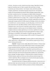 Įmonės projektavimas: logistikos paslaugos 7 puslapis