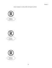 Įmonės rinkodara: prekyba odinėmis prekėmis UAB "Odinis pasaulis" 16 puslapis