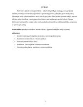 Įmonės rinkodara: prekyba odinėmis prekėmis UAB "Odinis pasaulis" 3 puslapis