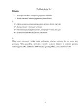 Įmonės rinkodara: prekyba odinėmis prekėmis UAB "Odinis pasaulis" 4 puslapis