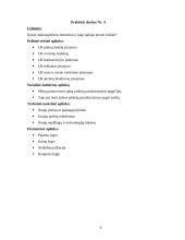 Įmonės rinkodara: prekyba odinėmis prekėmis UAB "Odinis pasaulis" 6 puslapis