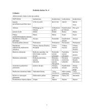 Įmonės rinkodara: prekyba odinėmis prekėmis UAB "Odinis pasaulis" 7 puslapis