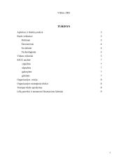 Įmonės strateginis veiklos planas: Matematikos ir informatikos institutas 2 puslapis