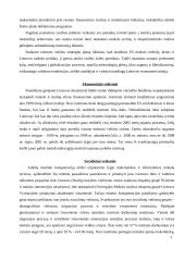 Įmonės strateginis veiklos planas: Matematikos ir informatikos institutas 4 puslapis