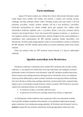 Įmonės turto netekimas ir registravimas apskaitoje 2 puslapis
